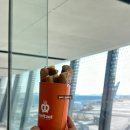 봉쥬르김밥 | 서귀포는 처음이라 🍊🍊 다정이네 김밥, 연돈, 기흥어물...식물원, 코데인커피로스터스, 봉주르마담 등등