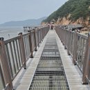 119특수대응단 - 영암군 | 무의도 하나개해수욕장 주차장부터 해상관광탐방로 후기