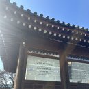 빈스커피 | [카페] 경기 화성 한옥카페 ‘굿빈스커피시그니처‘ 방문 후기!