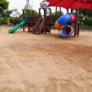 신녕초교병설유치원 이미지