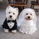 쿨 | 홍대 퍼스널컬러 진단 가격 겨울쿨분석 후기