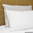 솔동산 스테이 이미지