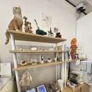 고양이 미용실 그냥 이미지