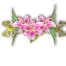 코너플라워