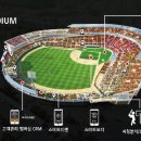 위즈링크 이미지
