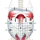 팀터틀랫 중부점 이미지