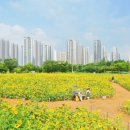 초지역 4번출구 이미지