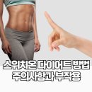 다이어트연구소 온