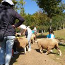 동심삐아제어린이집 이미지