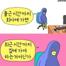 여유로운 요즘의 일상! 엘리에나 호텔 결혼식 후기/성수 쿠코(CUCO)/지나고나면/부자치맥/일본드라마...