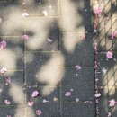 자란다프로젝트 | 오월은 푸르구나 우리들은 자란다