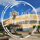 함평양서파충류생태공원 | 전남 실내 나들이 추천! 함평 양서파충류 생태공원 체험 후기