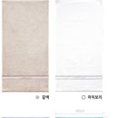 아날도바시니전주