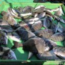 서정리경로당 이미지