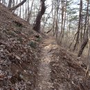 동강 백운산(882m). 문희마을-칠족령-하늘벽구름다리-동강할미꽃군락지 이미지