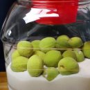 매실처럼 생겼지만 전혀 다른 과일, 개복숭아 이미지