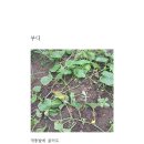 김명수농장 이미지