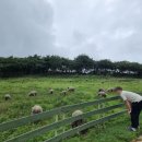 상신목장 이미지