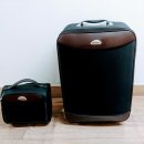 미용사 자격증 실기 - 피부 이미지