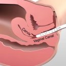 빛나는여성의원 이미지
