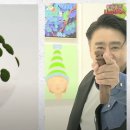 이끼스튜디오
