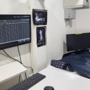 독스동물병원 이미지