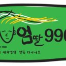 웰빙헤어샵 - 제주시 | 웰빙헤어샵