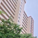 탄현우체국 앞 이미지