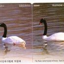 D00180 네이버블로그