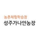 가나안농장1 네이버블로그