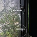 [공지] 관악구방범방충망 설치, 힐스테이트 관악 센트씨엘 시공사례