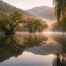 백운장모텔 | 🍃 청송 명소 여행기 — 주산지에서 느낀 감성 자연 산책