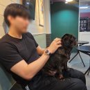 두젠틀 네이버블로그