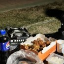 길안면 천지생태공원(하) 이미지