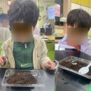 꽃무지 | 꽃무지 애벌레 수업후기