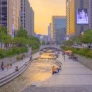 정도행정사 이미지