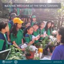 Natural Medicine at the Spice Garden 이미지
