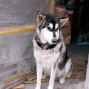 가정1-01-011 이미지