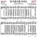 297 이미지