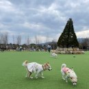 아워펜션 이미지