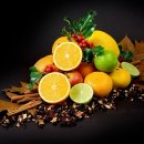 라임덴탈 이미지