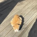 스무살에머물다 이미지