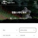 쌍계사 | 경남 하동 템플스테이 쌍계사 체험형 다녀온 후기 예약방법