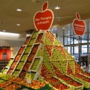 (주)자연제국 이미지