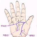 故정주영회장님 손금 이미지