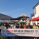 청도군-19 이미지