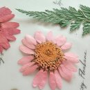 운학초등학교 이미지