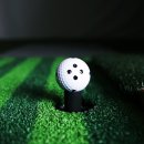 더스크린골프 이미지