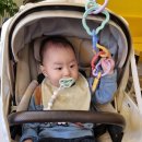 아이스크림 장난감 | 하베브릭스 아이스크림 베이비링, 고리장난감 내돈내산 후기