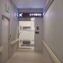 메디슨167 이미지